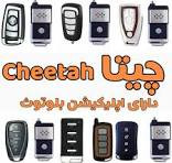 دزدگیر اتومبیل چیتا315B